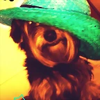 danger cn el sombrero