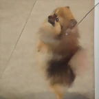 11 030