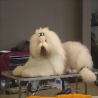 11 061