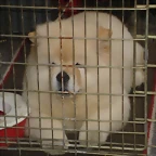 11 040