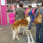 11 069