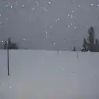 NEVANDO EN COLORADO