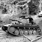 pzii