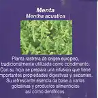 PLANTA004