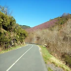 DSCN9146