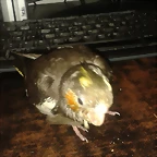 20150226_201231