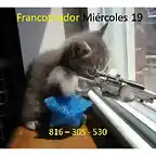 Francotirador Mi?rcoles 19