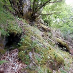 DSCN1365