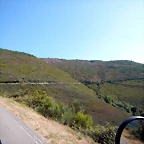 DSCN6982