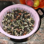 DSCN2745