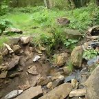 DSCN4151