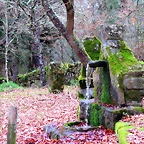 50-IMG_4562