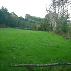 DSCN5301