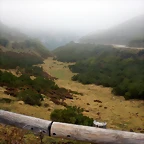 DSCN6588