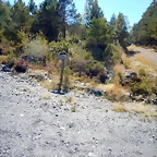 DSCN9423