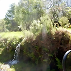 DSCN1151