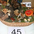 DSCN4487