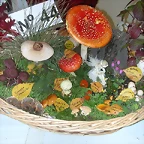 DSCN4514
