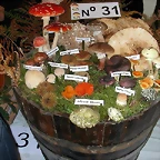 DSCN4485