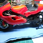 DSCN4675