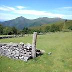 DSCN8323