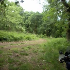 DSCN2744