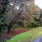 DSCN6438