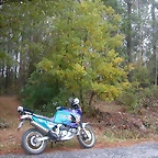 DSCN8423