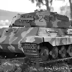 tygrys krlewski 135