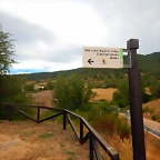 DSCN6911