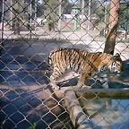 PIC04905