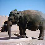 PIC04903