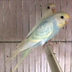 IMG-20170717-WA0002