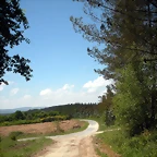 DSCN5392