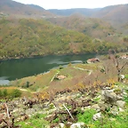 22-IMG_3872