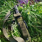 IMG_20250401_114437