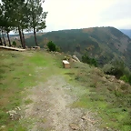 43-IMG_3905