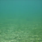 P2090091