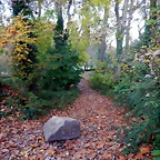 DSCN8994