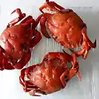 Cangrejo rojo cocido