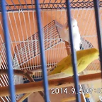 CIMG0588