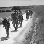 Hombres del 2nd Seaforth Highlanders avanzan  a lo largo de la carretera cerca de  Noto, 11 Julio 1943.