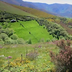 87-IMG_6428