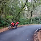 DSCN3784