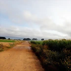 DSCN6458