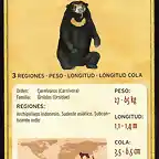 oso malayo