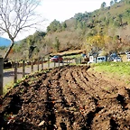 DSCN0277