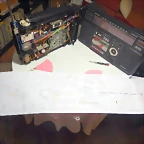 DSCN4992