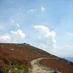 DSCN5959