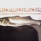 No tengo peso